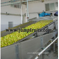 SUS304 fruit and vegetable washing line